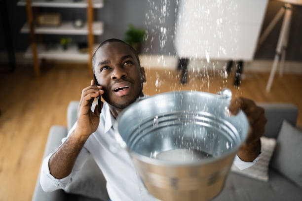 Best Ceiling water damage repair  in Ladue, MO