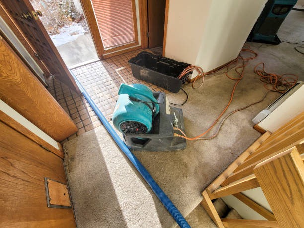 Best Water damage restoration process  in Ladue, MO