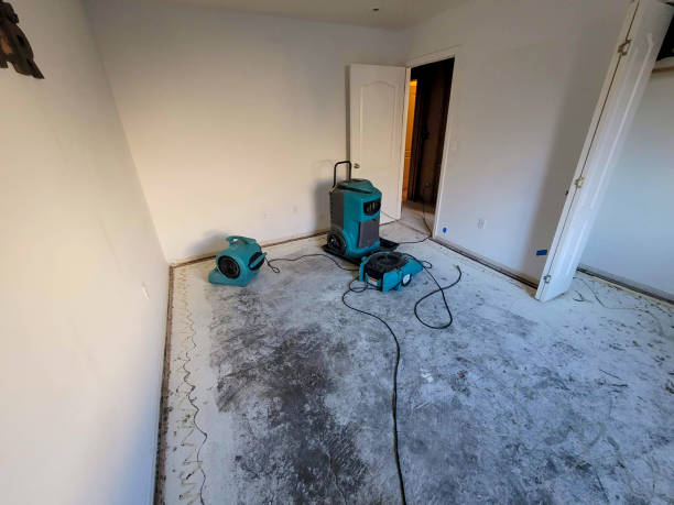 Best Professional water damage repair  in Ladue, MO