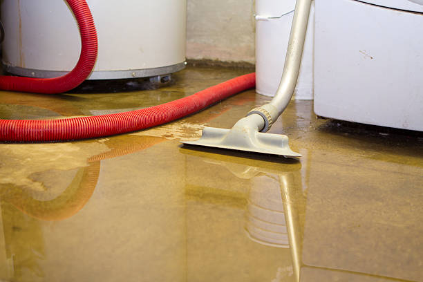 Sewage cleanup and water damage restoration in Ladue, MO